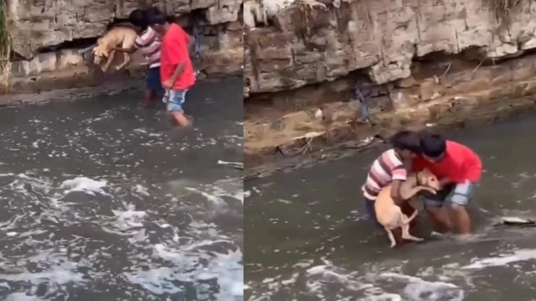 Viral Video: বন্যার জলে ভেসে যাওয়া থেকে কুকুরকে বাঁচল দুই শিশু, দেখুন ভিডিয়ো