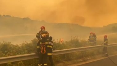 Greece Wildfires: গ্রিসে দাবানল, পুড়ে ছারখার বাড়িঘর, দেখুন ভিডিয়ো