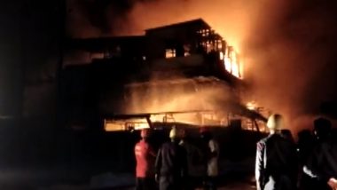 Gujarat Massive Fire Video:গুজরাটের রিতু ফার্মায় ভয়াবহ অগ্নিকাণ্ড, ঘটনাস্থলে (দেখুন সেই ভিডিও)