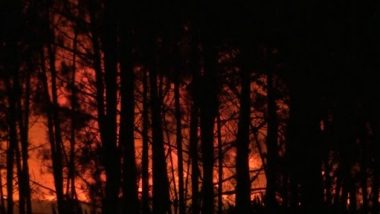 Portugal Wildfires Video: দাউ দাউ করে জ্বলছে পর্তুগালের বনাঞ্চল, সরানো হচ্ছে মানুষকে, দেখুন