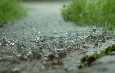 Weather Update: ওড়িশায় লাল সতর্কতা, পশ্চিমবঙ্গেও ভারি বৃষ্টির আশঙ্কা