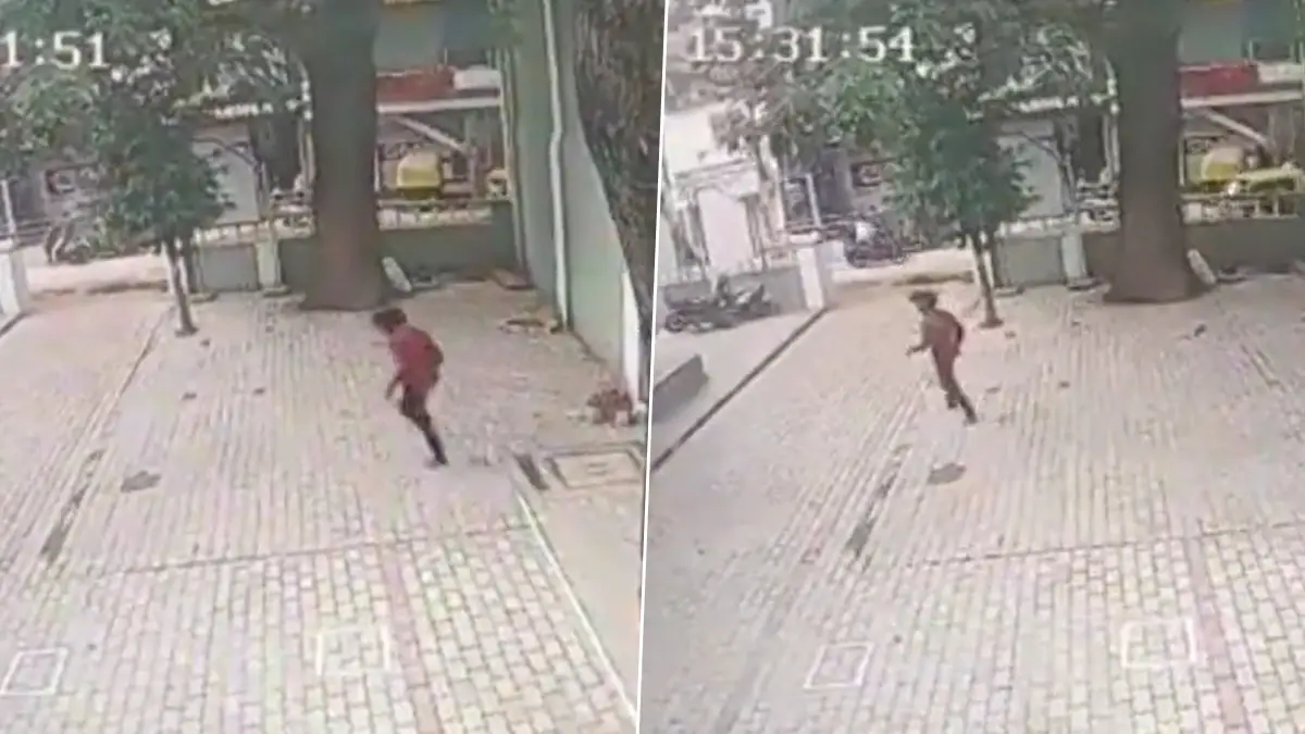 Karnataka: ৪০ ফুট উঁচু দেয়ালে উঠে পালালো ধর্ষণের আসামী, ভিডিও ভাইরাল সোশ্যাল মিডিয়ায় (দেখুন ভিডিও)