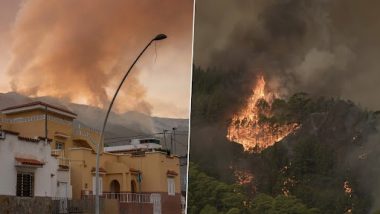 Spain Wildfire Photos and Videos: নিয়ন্ত্রণের বাইরে চলে যাচ্ছে টেনেরিফ দ্বীপের আগুন, আগুন নিয়ন্ত্রণে আপ্রাণ চেষ্টা করছে দমকলকর্মীরা