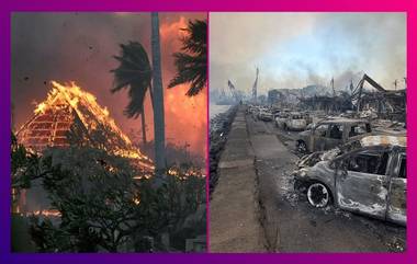 Hawaii Wildfire: জ্বলছে হাওয়াই, মৃত ৬