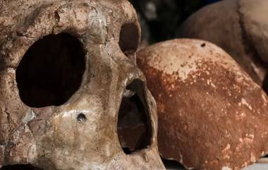 Early Humans: জলবায়ু পরিবর্তনে বিলুপ্তি ঘটেছিল মানব প্রজাতির, জীবিত ছিল মাত্র ১২৮০ জন! আবারও কী তেমনটাই ঘটতে চলেছে? গবেষণা রিপোর্ট কী জানাচ্ছে দেখুন