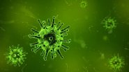 Swine Flu: মহারাষ্ট্রে বাড়ছে সোয়াইন ফ্লু আক্রান্তের সংখ্যা, সোয়াইন ফ্লু পজিটিভ ৪০০র বেশি রোগী, মৃত ১৫ জন