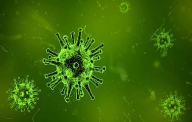 Chandipura Virus in Gujarat: গুজরাটে চন্ডিপুরা ভাইরাসের হানাদারি, শিশু মৃত্যুতে আতঙ্ক বাড়ছে, কী জানালেন স্বাস্থ্যমন্ত্রী দেখুন