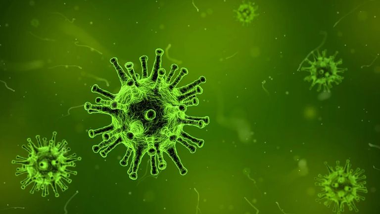 HMPV Virus In India: পরপর ভাইরাসের গ্রাসে ছোট্ট শিশুরা, কর্ণাটকের পর গুজরাটে HMPV ভাইরাসে আক্রান্ত তৃতীয় খুদে প্রাণ