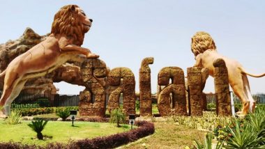 Etawah Lion Safari: এটোয়া লায়ন্স সাফারিতে ৯টি পশুর মৃত্যুর ঘটনায় দ্বিধাগ্রস্ত বন্যপ্রাণ বিশেষজ্ঞরা