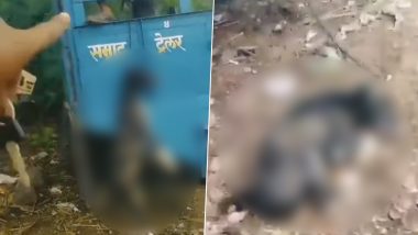 Dog Hanged to Death in Maharashtra Video: ট্র্যাক্টরের সিট নষ্ট করায় পথ কুকুরকে নৃশংস শাস্তি! অমানবিকতার ভিডিয়ো