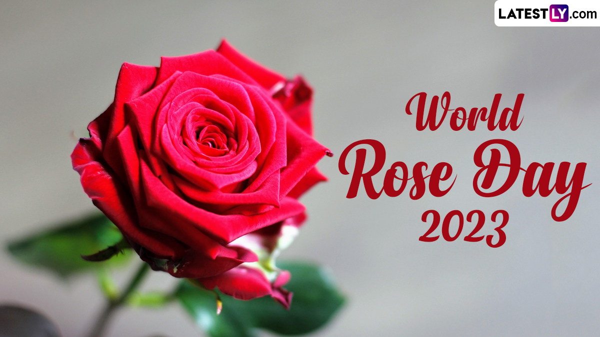 World Rose Day 2023 for Cancer Patients: কার স্মরণে বিশ্ব গোলাপ দিবস পালন হয় এবং কীভাবে এই দিনটি উদযাপন শুরু হয়েছিল জানুন