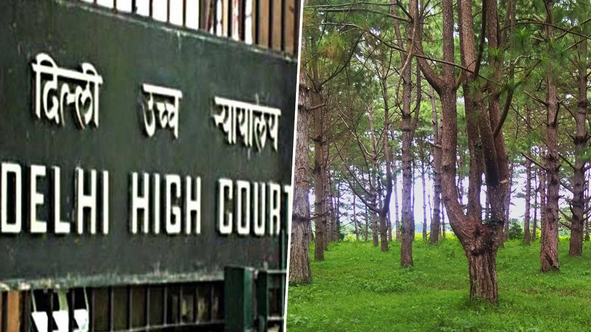 Alimony Rules: আর্থিকভাবে স্বাবলম্বী স্ত্রীকে স্থায়ী খরপোষ নয়, রায় আদালতের