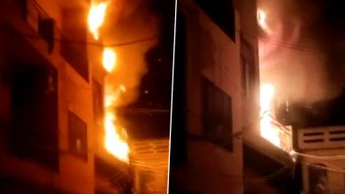Delhi Fire: দিল্লির ডামি তৈরির কারখানায় ভয়াবহ আগুন, রাতের অন্ধকারে দাউদাউ করে জ্বলছে