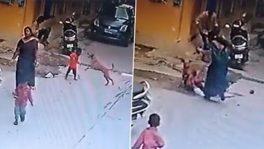 Hyderabad Shocker Video: শিশুর উপর ঝাঁপিয়ে পড়ল কুকুর, ছুটে সন্তানকে রক্ষা মায়ের, দেখুন ভয়ঙ্কর ভিডিয়ো