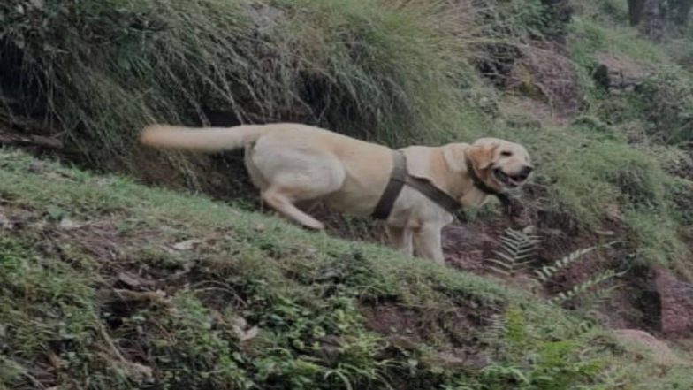 Kent- Indian Army's Dog Dies in Encounter: কাশ্মীরে সন্ত্রাসবাদীদের ছোঁড়া গুলিতে মৃত্যু ভারতীয় সেনার কুকুর কেন্টের