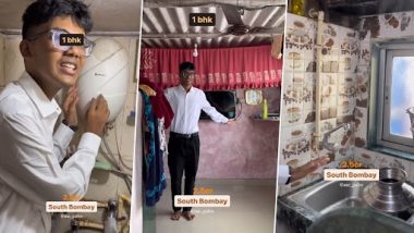Video: মুম্বইতে 'পাখির বাসায়' এসিও রয়েছে, ভাইরাল ভিডিয়ো