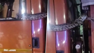 Viral Video: গ্রেটার নয়ডার পারি চকে ঢুকে পড়ল অজগর, ট্রাক ফেলে পালাল চালক ও অপারেটর (দেখুন ভিডিও)