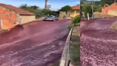 Red Wine Flood Video: ট্য়াঙ্ক ফেটে রাস্তা দিয়ে নদীর স্রোতের মত বয়ে যাচ্ছে রেড ওয়াইন, দেখুন ভিডিয়ো