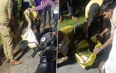 Viral Video: চলন্ত ট্র্যাকের কেবিনে অজগর! ট্র্যাক থামিয়ে পালালো চালক ও কন্ডাক্টর, দেখুন