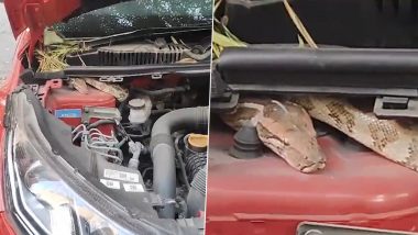 Python Inside Car in Delhi: গাড়ির বনেটে পেঁচিয়ে ছয় ফুটের পাইথন, পিলে চমকে ওঠা দৃশ্য দেখুন