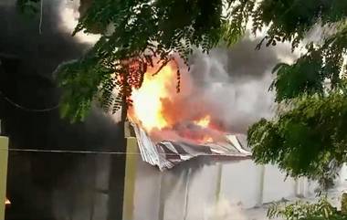 Moradabad Fire: মোরাদাবাদের থার্মোকল কারখানায় দাউদাউ করে জ্বলছে আগুন, ভয়াবহ ভিডিয়ো