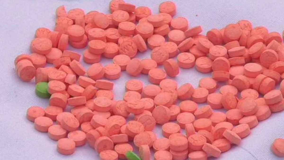 Yaba Tablets Seized: রাজ্য পুলিশের শিলিগুড়ি এসটিএফ দেড় কেজি নিষিদ্ধ ইয়াবা ট্যাবলেট উদ্ধার করেছে, ঘটনায় গ্রেফতার ৫জন