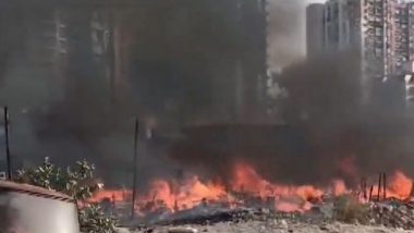 Ghaziabad Fire Video: বস্তিতে আগুন, দাউদাউ করে জ্বলছে গোটা বসতি