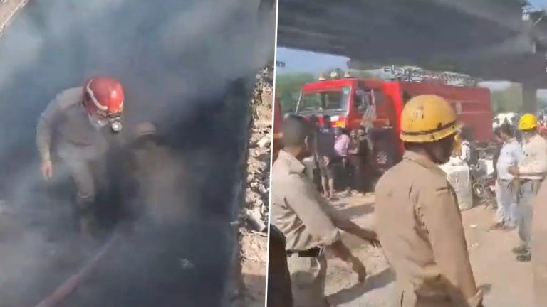 Delhi Fire Video: দিল্লির গান্ধী নগর মার্কেটের গুদাম ঘরে আগুন, বেসমেন্টে রাখা যন্ত্রপাতি থেকে অগ্নিকান্ড