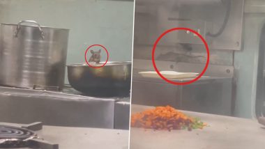Rats Inside Train Pantry Video: মাডগাঁও এক্সপ্রেসের প্যান্ট্রির খাবারের ওপর সাবলীলভাবে ঘুরছে ইঁদুর! দেখুন ভাইরাল ভিডিও