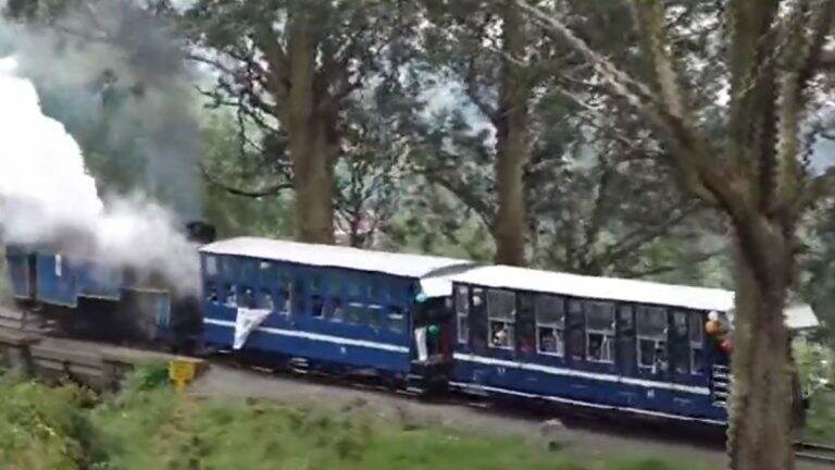 Ooty Toy Train: ১১৫ বছর পার করল উটির ট্রয় ট্রেন, ভিডিয়োতে দেখুন নৈসর্গিক দৃশ্য