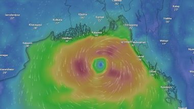 Cyclone Hamoon: বাংলাদেশে আছড়ে পড়ল ঘূর্ণিঝড় হামুন, চলছে তুমুল ঝড়, বৃষ্টি