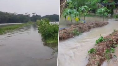 West Bengal Rain: কেলেঘাই নদীর জলে আতঙ্ক, পূর্ব মেদিনীপুরে জল ঢুকছে হু হু করে, দেখুন