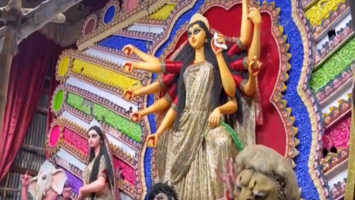 Durga Puja 2023: লেকটাউনের শ্রীভূমিতে চলে এলেন মা দুর্গা, শহর জুড়ে যেন পুজোর মরসুম, দেখুন ভিডিয়ো