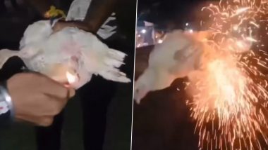 Animal Cruelty in Assam: মুরগির গোপনাঙ্গে বাজি ঢুকিয়ে তা ফাটাচ্ছে একদল যুবক, মাত্রাছাড়া অমানবিকতার নিদর্শন দেখুন