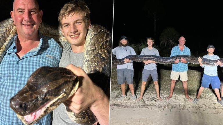 Massive 17-Foot Python: কাঁধে অজগর সাপ নিয়ে বাবা-ছেলের সোশ্যাল মিডিয়ায় ছবি পোস্ট, ঝড়ের বেগে ভাইরাল