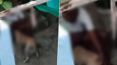 Dog Raped in Lucknow: ফের পথকুকুরের সঙ্গে বিকৃত যৌনতার অভিযোগ, লুকিয়ে ক্যামেরাবন্দি হয়রানির ভিডিয়ো