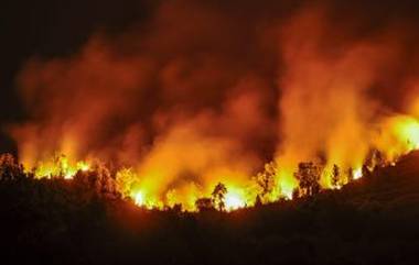 Spain : স্পেনে বনাঞ্চলে ভয়াবহ আগুন, সরানো হল ৯০০ বাসিন্দাকে