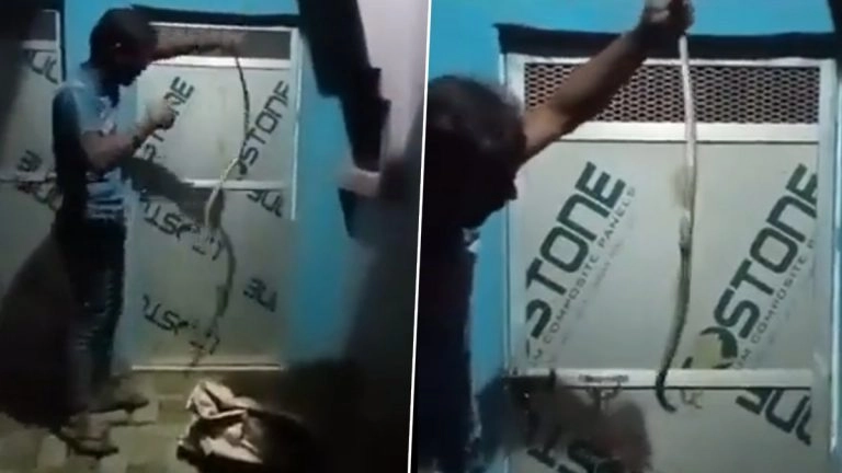 Uttar Pradesh: বিষাক্ত সাপ নিয়ে কায়দা, এক ছোবলে মৃত্যু মদ্যপ ব্যক্তির, দেখুন ভিডিয়ো