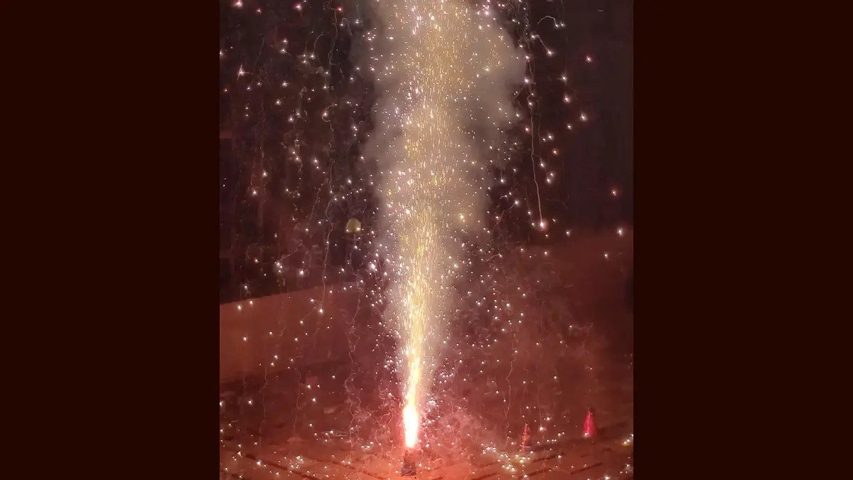 Boy Dies While Bursting Crackers: স্টিলের গ্লাসে বাজি ফাটাতে গিয়ে মৃত্যু কিশোরের