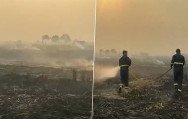 Punjab Stubble Burning: চাষের জমিতে লাগানো আগুন নেভাচ্ছেন দমকল ও কৃষি দফতরের কর্মীরা, পাঞ্জাবের ভিডিয়ো