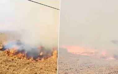 Punjab: রাজধানীর বাতাসের গুণগত মান অত্যন্ত ভয়ানক পর্যায়ে! জেলায় খড় পোড়ানো অব্যাহত