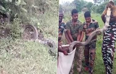 Cobra Video: কারখানার মধ্যে থেকে উদ্ধার বিশালাকার গোখরো সাপ, দেখুন ভিডিয়ো