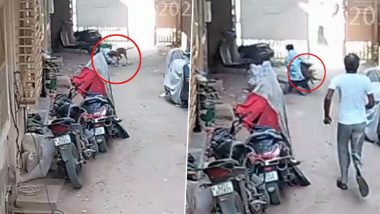 Ahmedabad Dog Attack Video: ১৮ মাসের শিশুর উপর পথকুকুরের আক্রমণ, গুরুতর আহত খুদে, দেখুন সিসিটিভি ফুটেজ