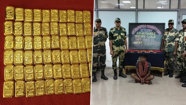 Gold Biscuits: বাংলাদেশ থেকে ভারতে সোনা পাচারের চেষ্টা ব্যর্থ, উদ্ধার ৬০টি সোনার বিস্কুট