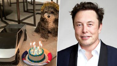 Elon Musk: পোষ্য কুকুর মারভিননের জন্মদিন উদযাপন করলেন ইলন মাস্ক, দেখুন