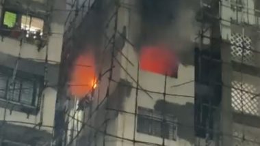 Navi Mumbai Fire: বহুতলের বদ্ধ ঘরে দাউদাউ করে জ্বলছে আগুন, ভয়াবহ ভিডিয়ো