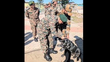 Indian Army's K9: রাজৌরিতে পাকিস্তানি জঙ্গির খোঁজ দেওয়ার পুরস্কার, ডোমিনো-কে সম্মান জানাল ভারতীয় সেনা