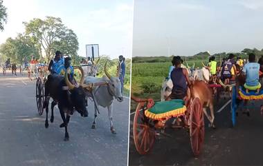 Cow Cart Race Video: স্বাধীনতা সংগ্রামীর স্মরণে গরুর গাড়ির দৌড়, দেখুন তামিলনাড়ুর ভিডিয়ো