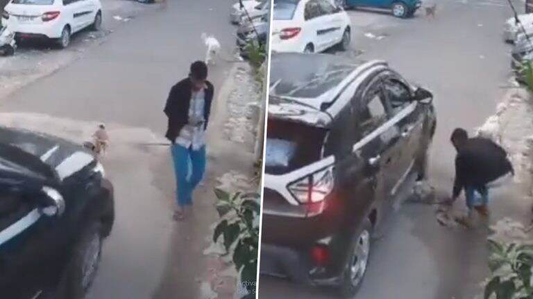Ghaziabad: রাস্তায় হাঁটতে থাকা কুকুরকে পিষে দিল গাড়ির চালক, সিসিটিভি ফুটেজ দেখে শুরু হল তদন্ত (দেখুন ভিডিও)