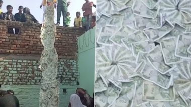 Video: ৫০০-র নোটে তৈরি ২০ লক্ষ টাকার মালা পরে বিয়ে করতে এল বর, দেখুন